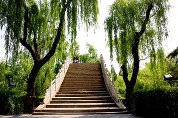 扬州荷花池公园