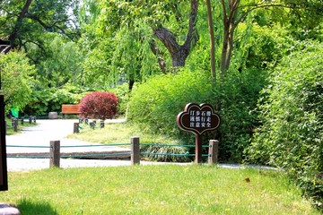 扬州荷花池公园