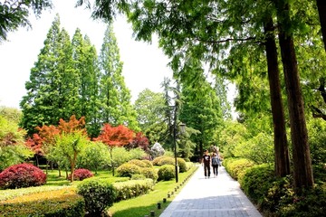扬州荷花池公园
