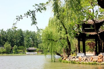 扬州荷花池公园