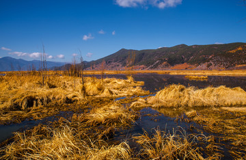 泸沽湖草海