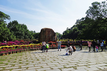 华南植物园园景