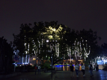 蟠龙山公园夜景