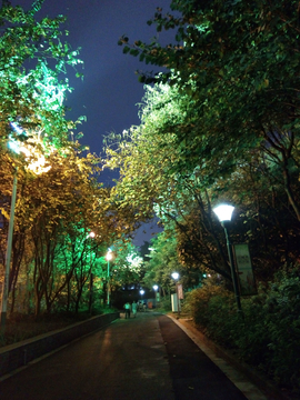 蟠龙山公园夜景
