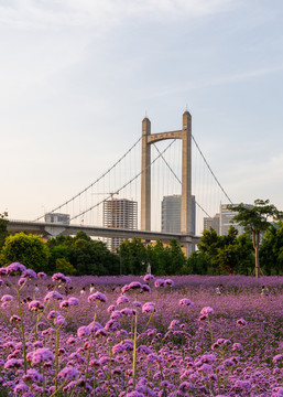 福州花海公园