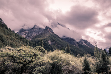 高原风光