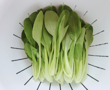 青菜 蔬菜 小白菜