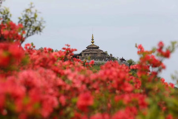 花中的石塔