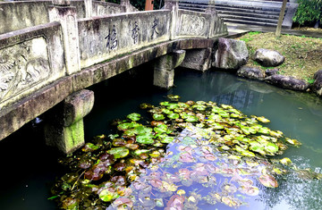 池塘小乔流水
