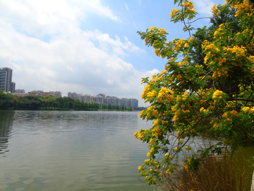 风景