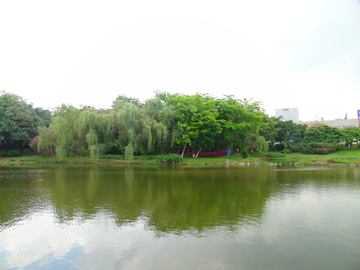 公园