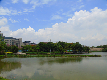 公园