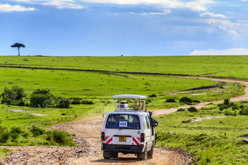 非洲肯尼亚马赛马拉草原