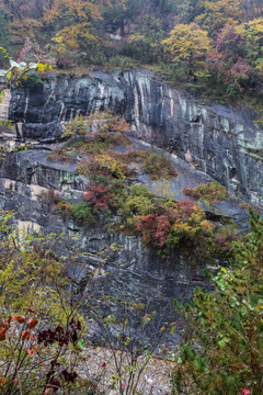 陕西秦岭太白山大箭沟风光