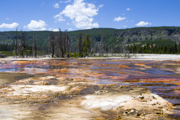 美国黄石国家公园火山硅酸盐