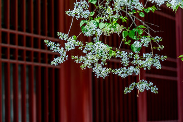 故宫