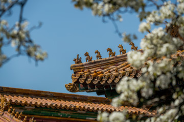 故宫