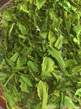 樱花绿茶