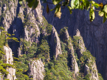 安徽省黄山市 黄山风景区