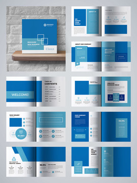 蓝色画册 高端画册 企业文化