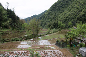 山里的农田