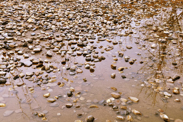 河边鹅卵石 小石头
