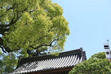 屋檐 日本太宰府