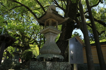 石柱灯 日本太宰府