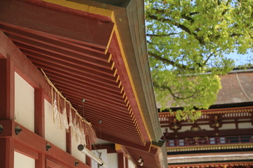 屋檐 日本太宰府