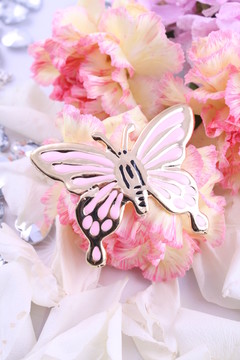 康乃馨包裹的蝴蝶