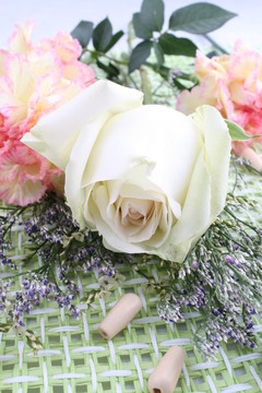 玫瑰花蕾康乃馨满天星网格底纹