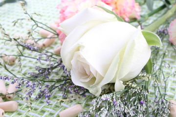 玫瑰花蕾康乃馨满天星网格底纹