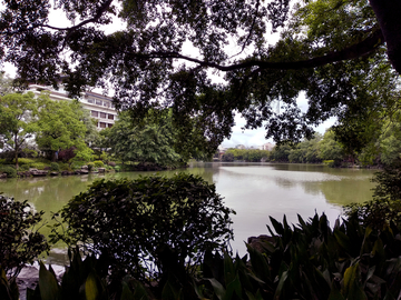 湖畔风景