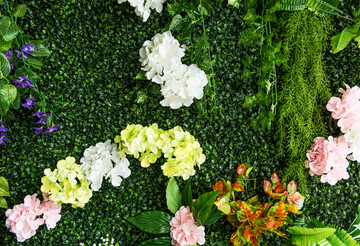 植物景观墙 花墙