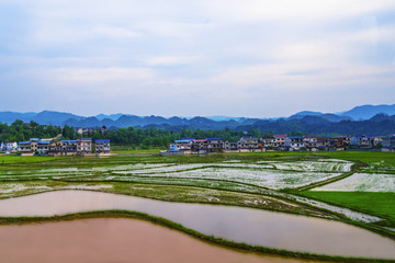 远山农田