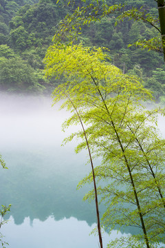 雾漫小东江