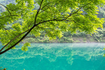 绿叶 湖水 晨雾 郴州小东江