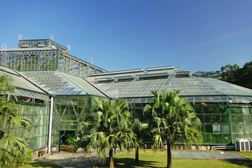 广州华南植物园玻璃温室