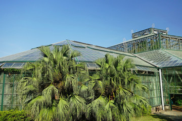 植物园玻璃温室