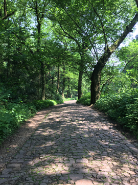 石头路