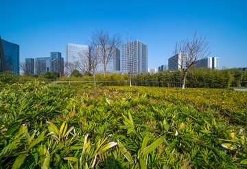 杭州望江公园