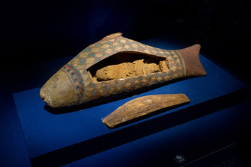 古埃及鱼形木棺