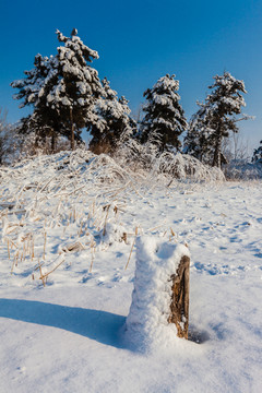 东北冬天雾凇树挂雪景55