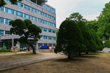 韩国首尔城市街头建筑园林景观