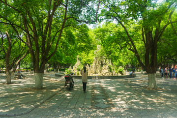 山大医学院绿色校园 （5）