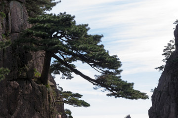 黄山风光