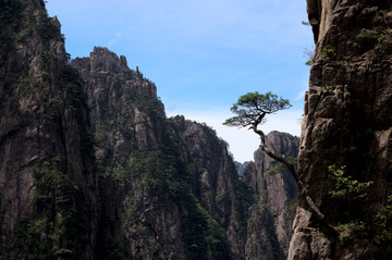 黄山风光