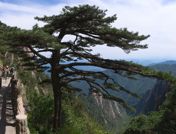 黄山风光