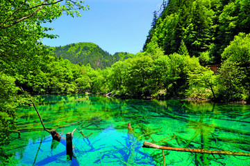 阿坝州 九寨沟县 九寨沟风景区