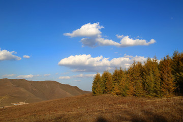 张家口市 崇礼区 桦皮岭